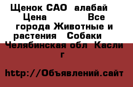 Щенок САО (алабай) › Цена ­ 10 000 - Все города Животные и растения » Собаки   . Челябинская обл.,Касли г.